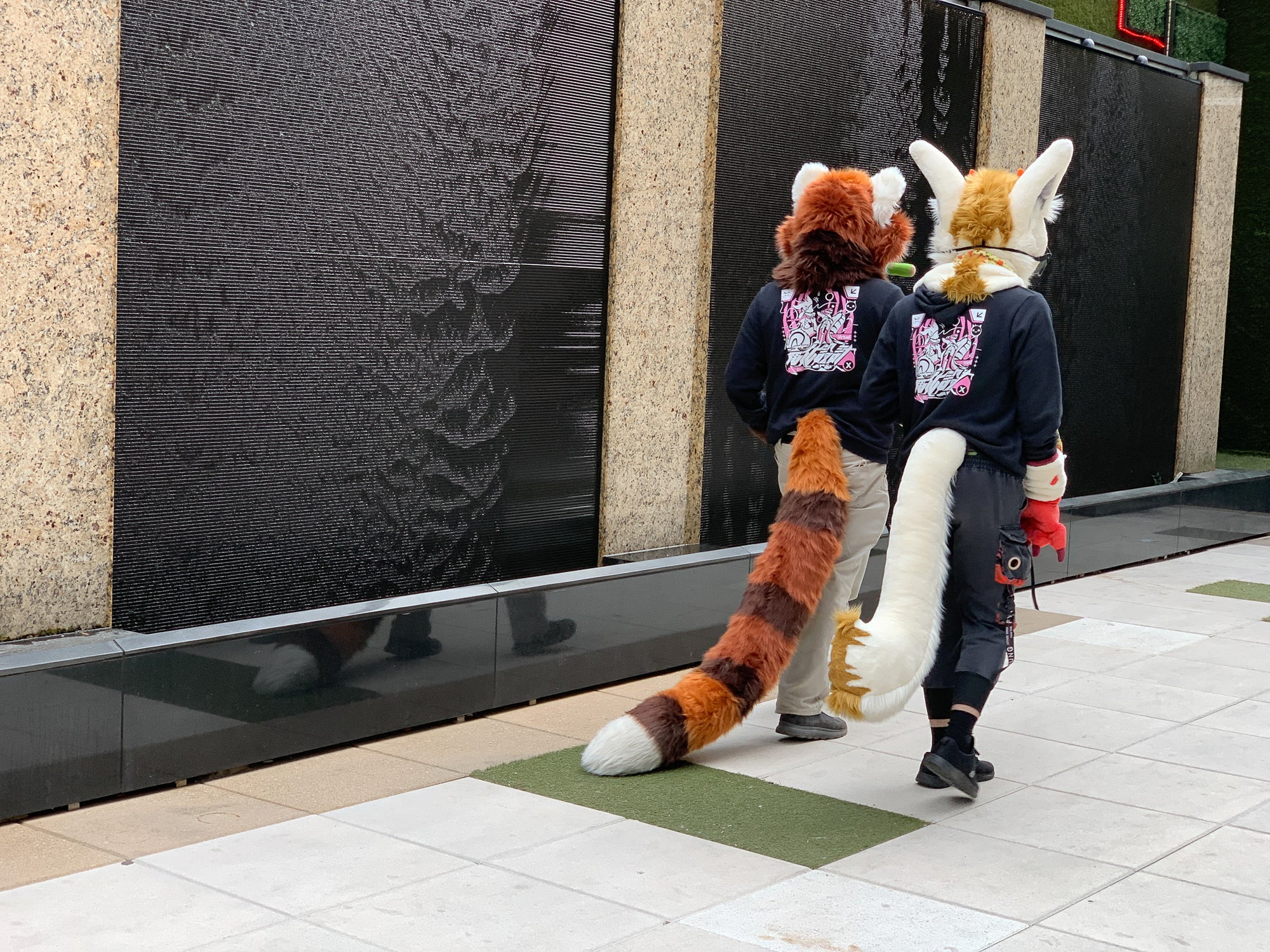 Two people in fox-themed costumes walking outdoors near a building.